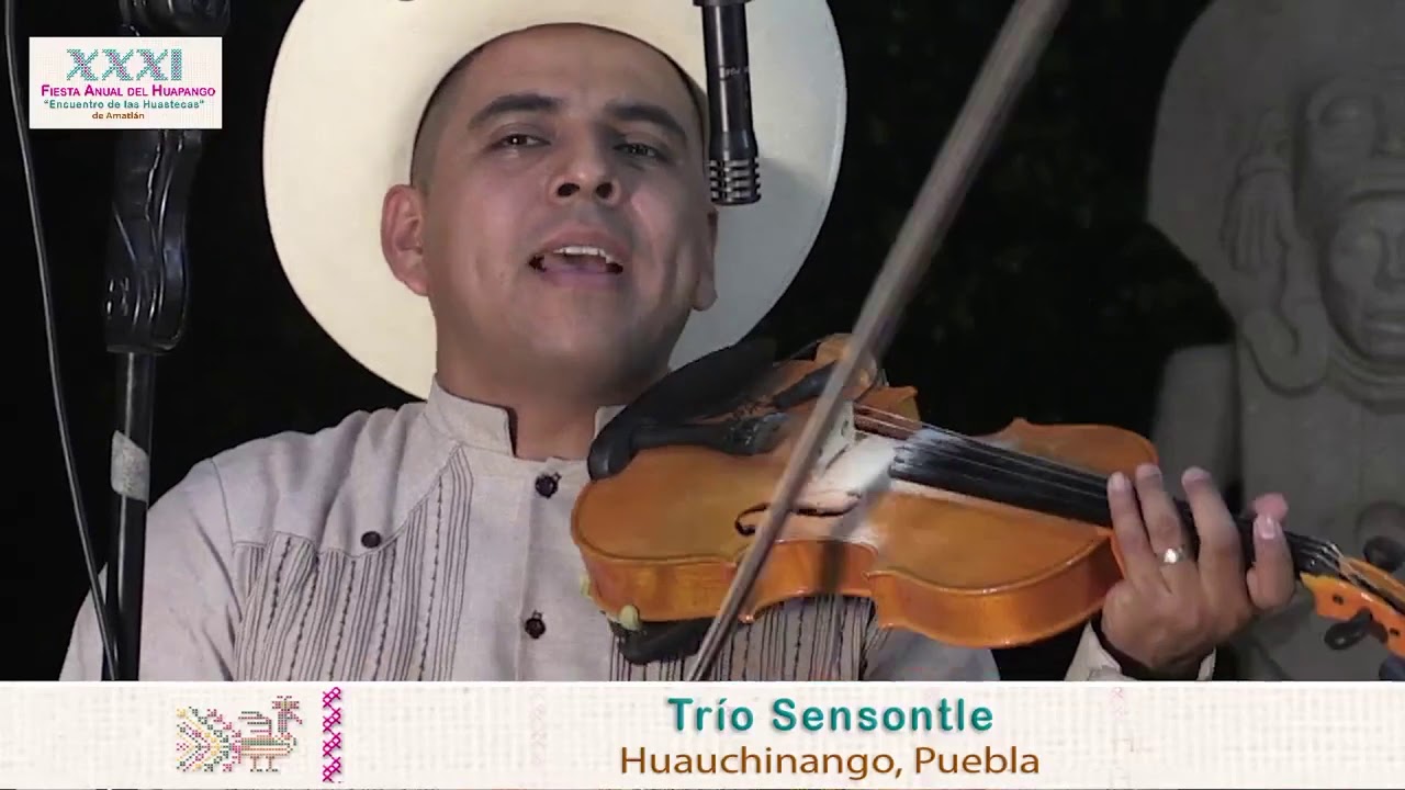 Tr&iacute;o Sensontle toca El Sacamand&uacute; en Amatl&aacute;n.