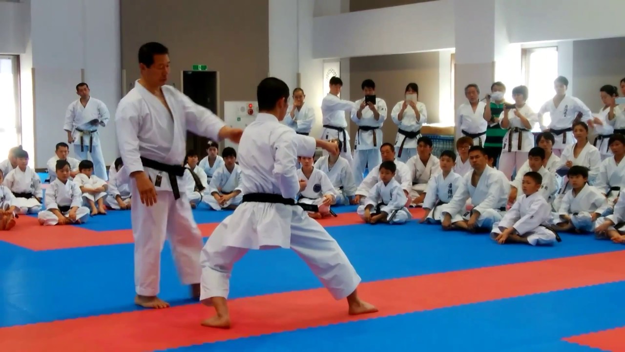 2017 JKF seminar Heiangodan 全空連基本形講習会 松濤館 平安五段