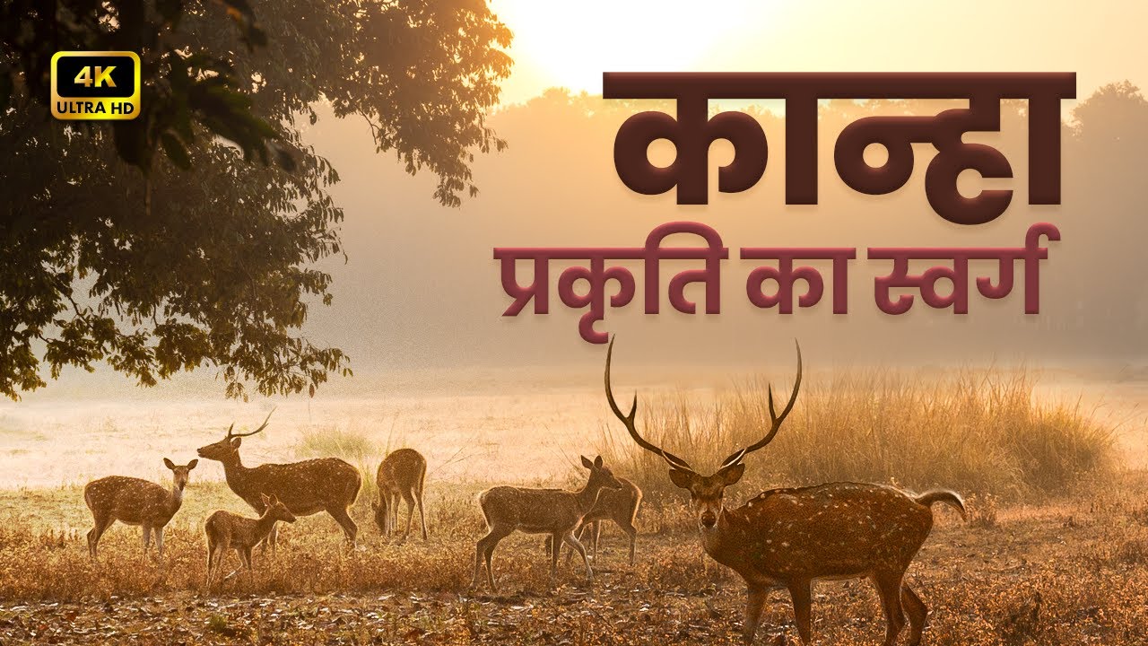 Ep 2 - Beautiful Visuals of Kisli in Kanha National Park | Wildlife Safari | Hindi