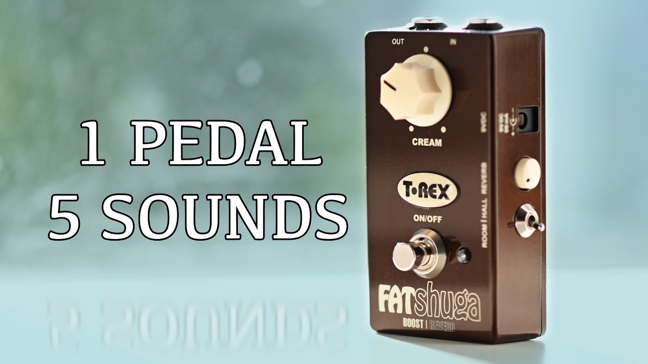 T-Rex - Fat Shuga - boost & reverb - 1 pedal, 5 sounds