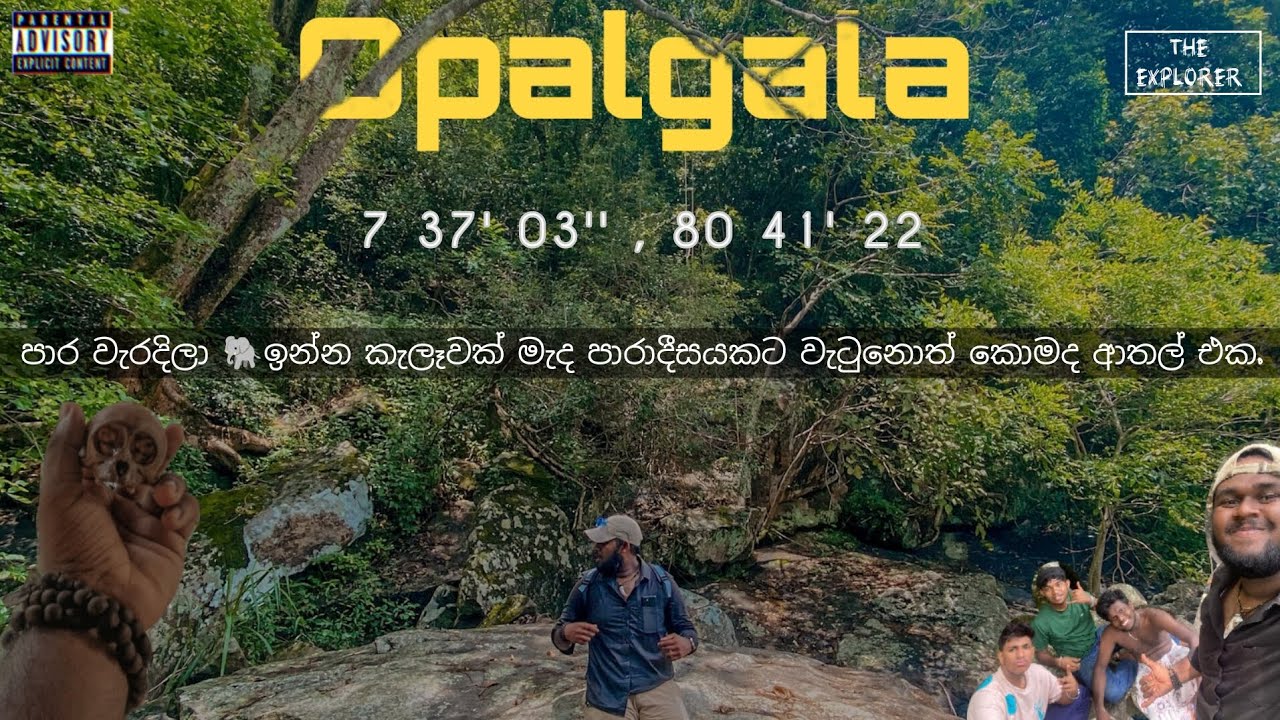 Paradise Found By Accident Due To A Wrong Path | @SithijYakaR #wildlife #srilanka #travel