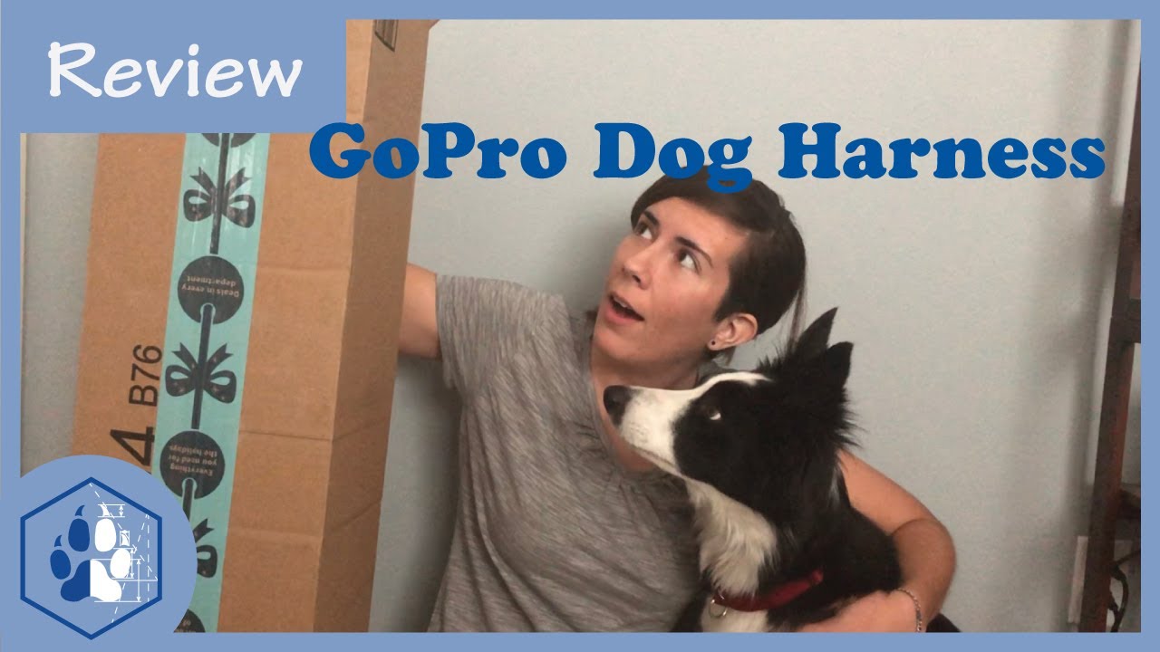 GoPro Dog Harness Unboxing and Review