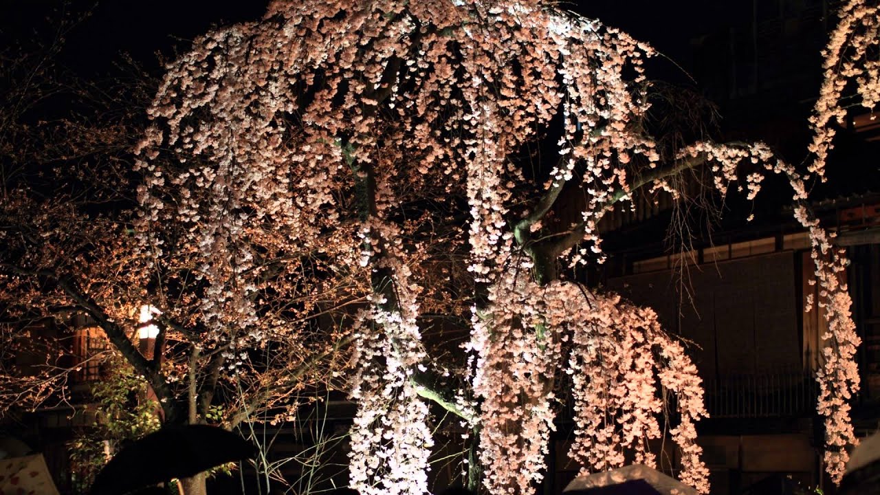 [4K Slidshow]The four seasons in Kyoto Part1・京都の四季の写真集(2007-2012)