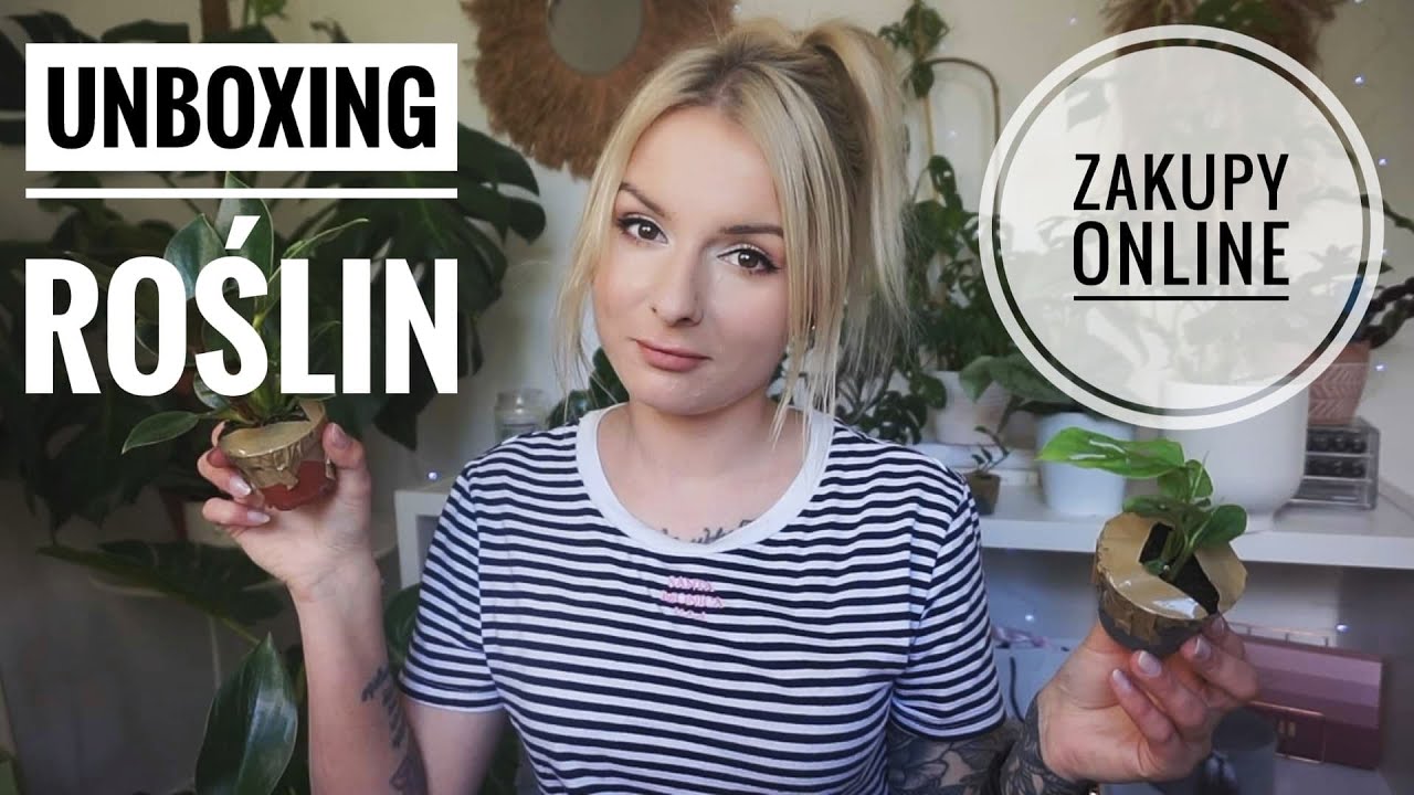 Unboxing roślin - Zamówiłam rośliny przez internet
