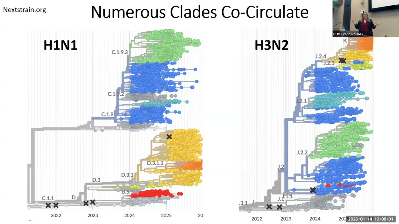 Department of Medicine Grand Rounds | Jenna Guthmiller, PhD