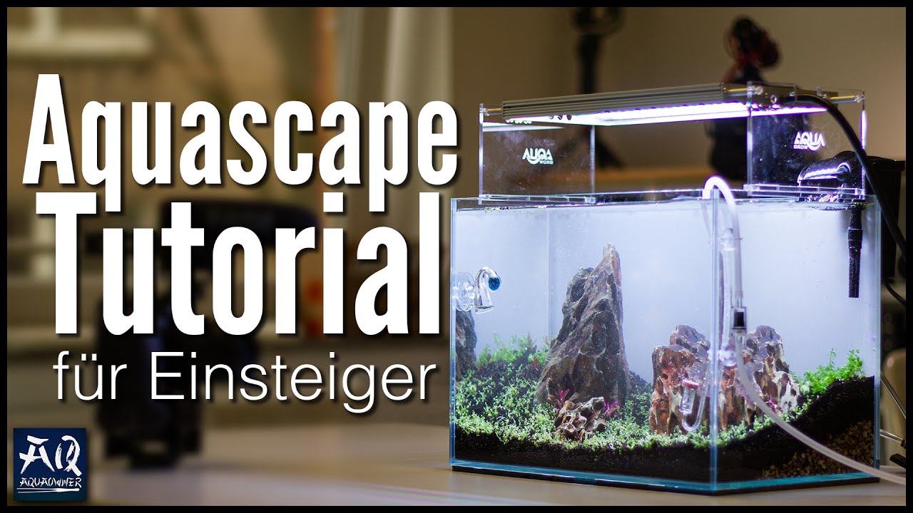 Wie geht Aquascaping? | AquaOwner