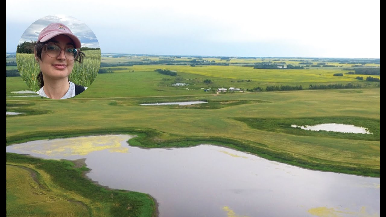 Agriculture Impacts Greenhouse Gas Emissions from Canadian Prairie Wetlands