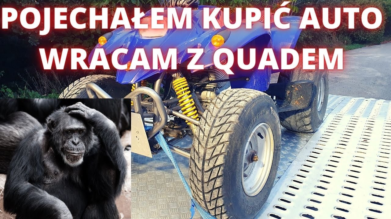 QUAD ATV BAROSSA 250 kot czy szrot ?  cz.1 świeżo po zakupie