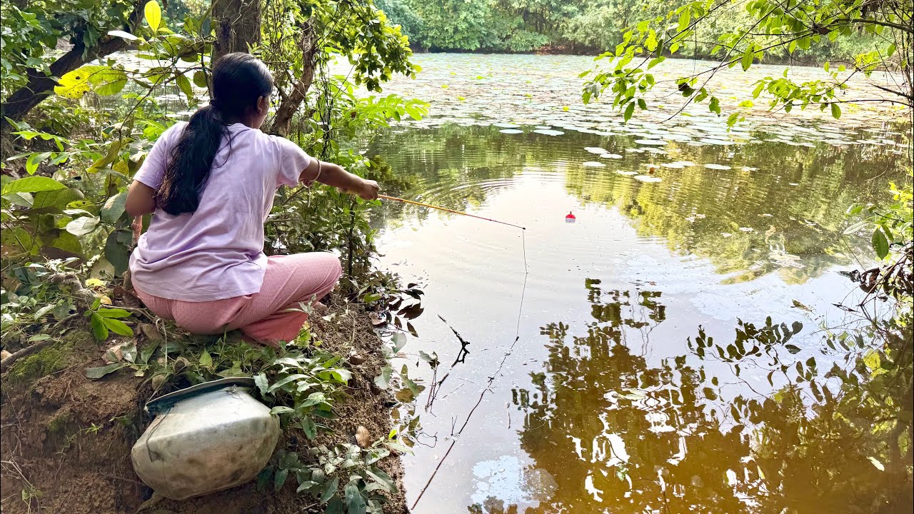 Fishing Video || Traditional girl fishing alone in the deep forest lotus pond | Amazing hook fishing