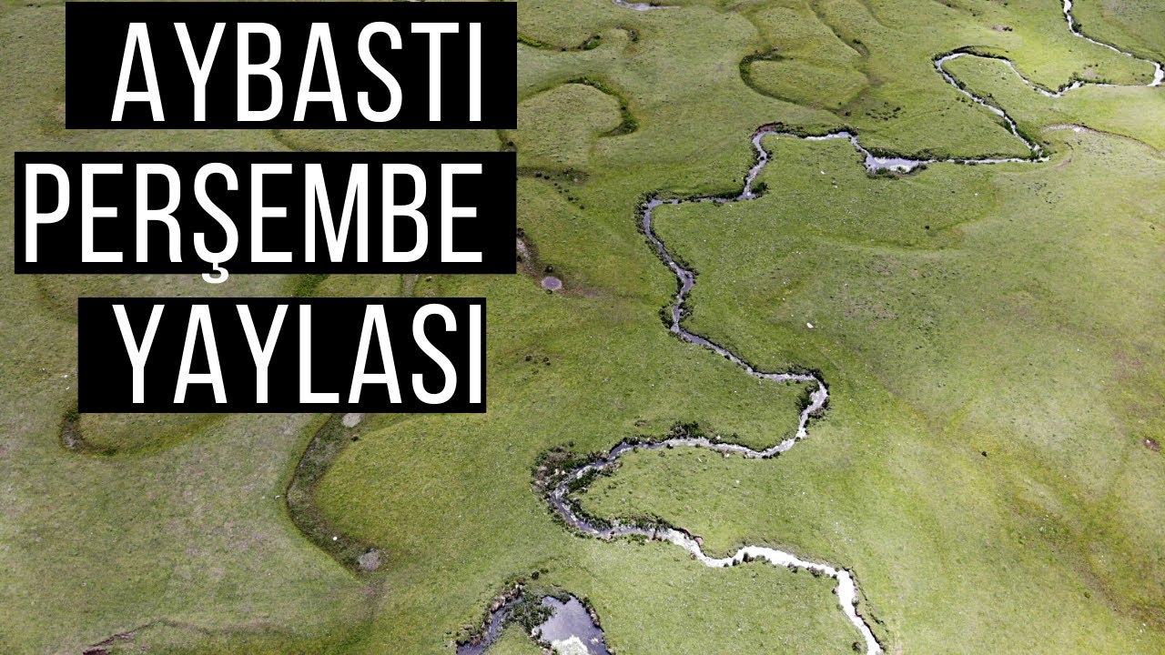 AYBASTI PERŞEMBE YAYLASI(Ordu’da Nerede Kamp Yapılır?)