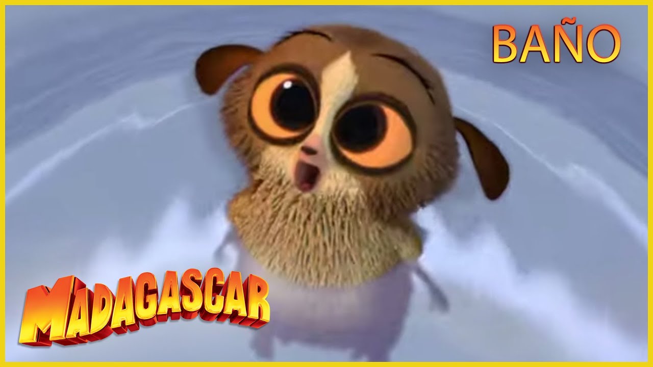 Viva el Rey Julien | Hora del baño | Madagascar | Dibujos animados para niños BAÑO