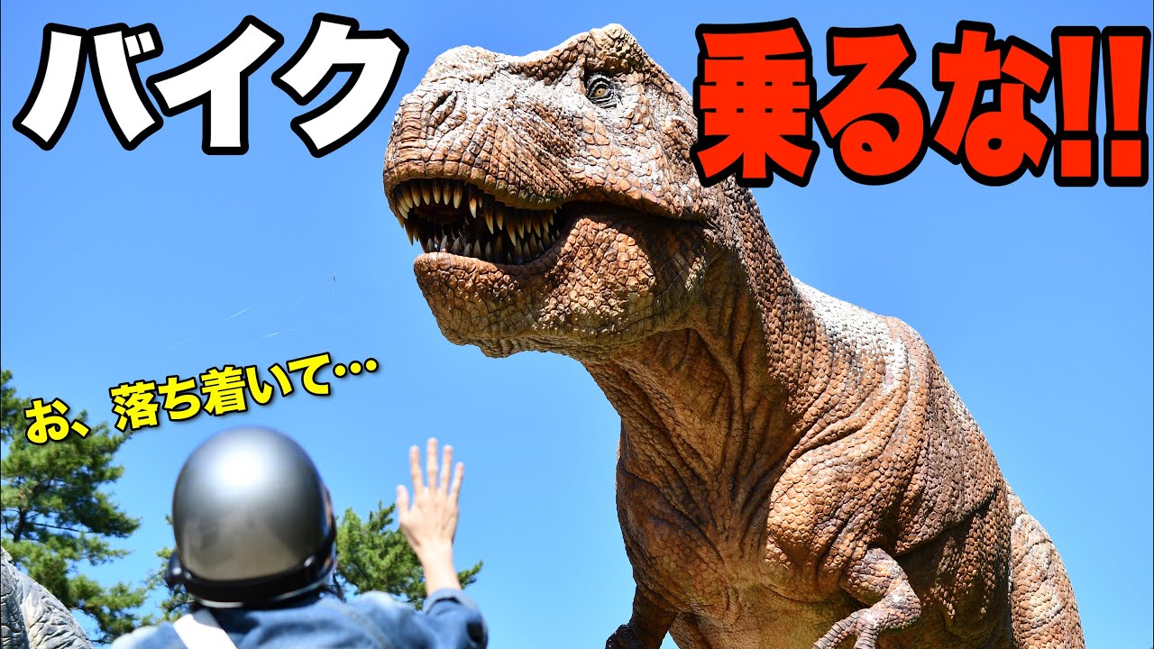\ 諦めないで!! /バイク反対の家族への説得方法