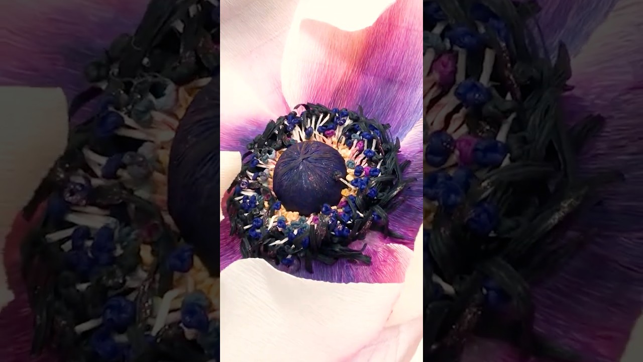 [Giant flower] How to make White Anemone with crepe paper. #shorts