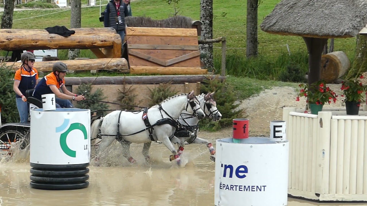 HENDRIKS Cas, NED, FEI WCH Ponies, Haras du Pin, FRA, Marathon Pairs, Obs 3, 18 09 21