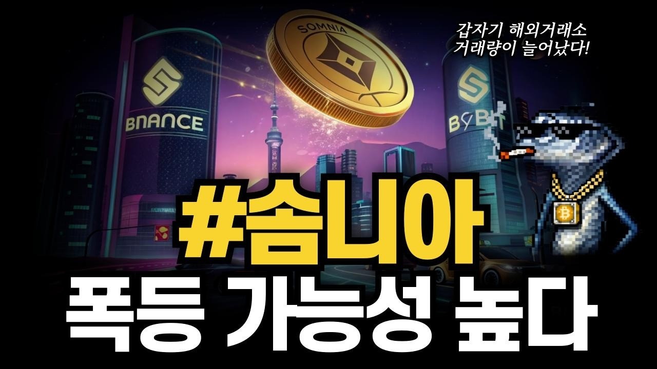 솜니아 폭등 가능성 높다 투자자들이 알아야 할 포인트 #솜니아 #솜니아분석