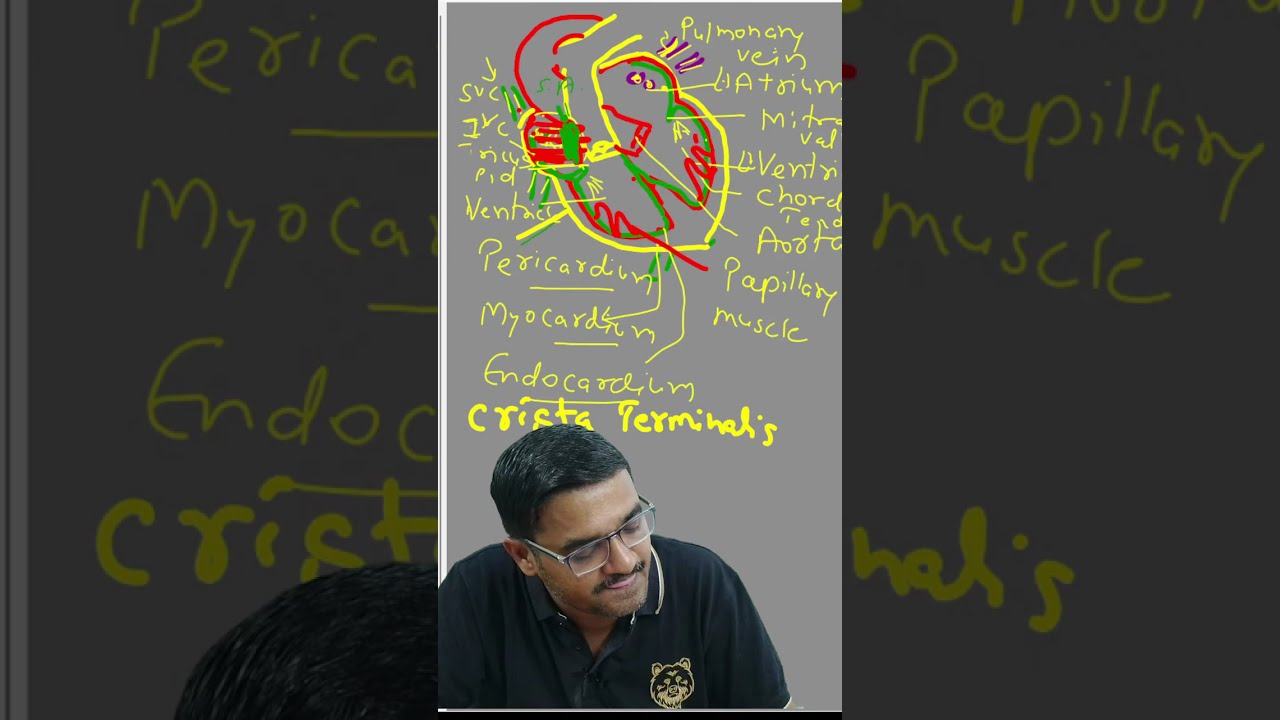 open discussion on nursing I study with me I