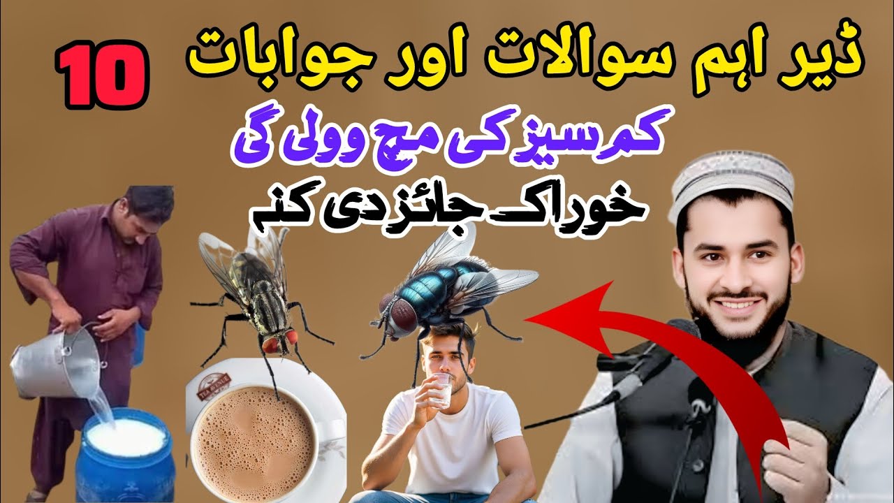 ڈاکٹر مفتی سلمان اصغر صیب پشتو زبان سوالات اور جوابات 🎧 ڈیر خکلے بیان MUFTI SALMAN AZHAR pashto