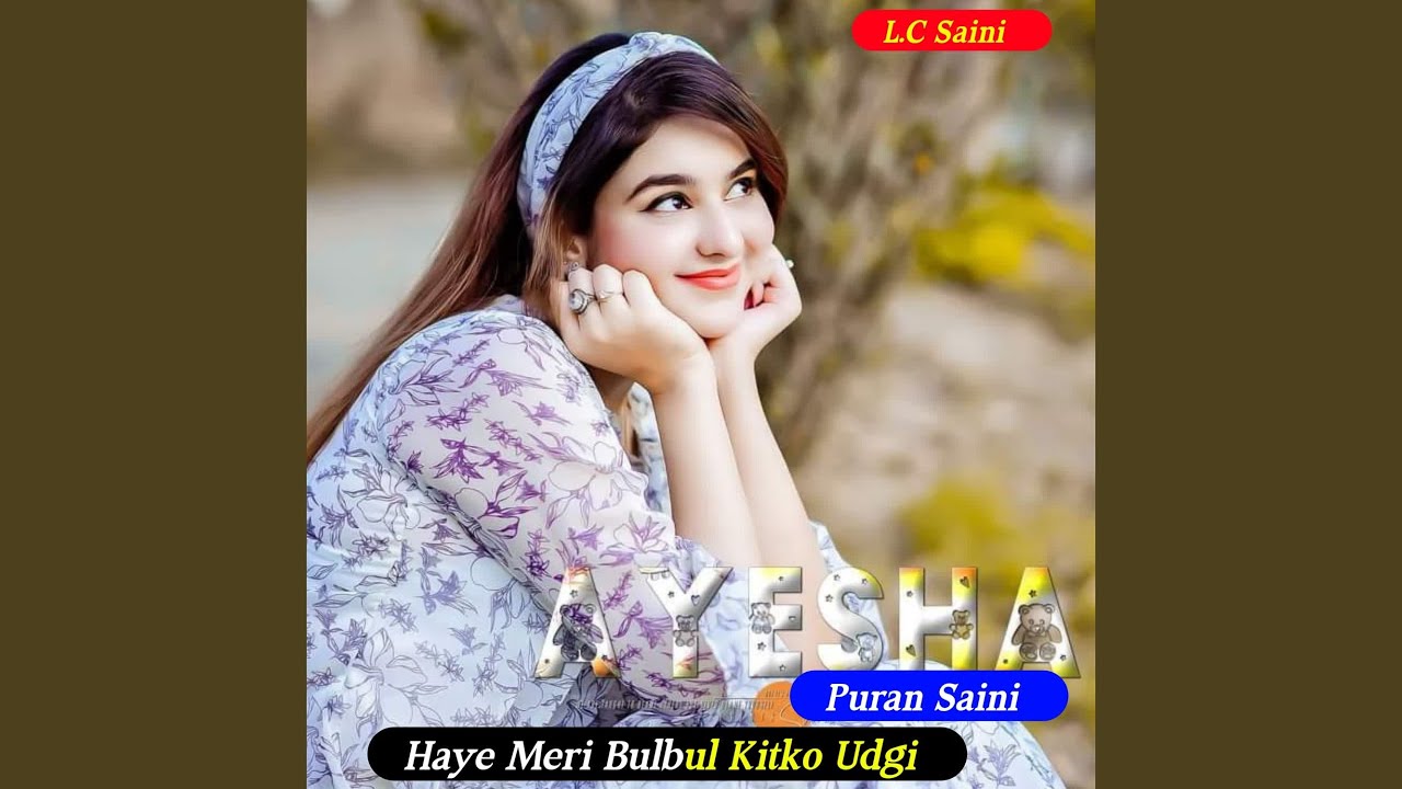 Haye Meri Bulbul Kitko Udgi