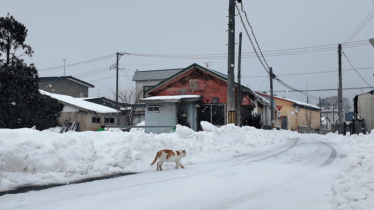 雪の青森・つがる鉄道金木駅周辺 - Snowy Tsugaru: A Winter Stroll in Kanagi, Aomori【4K Japan Walk】