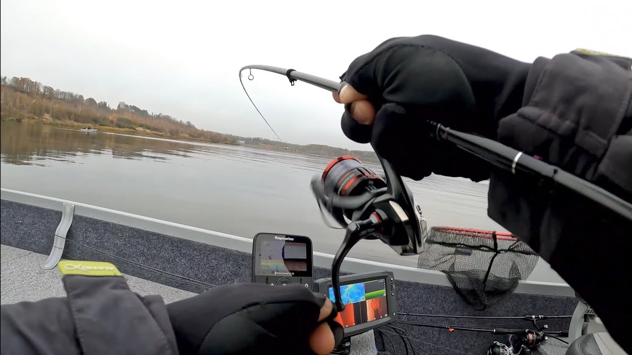 Ešerių žvejyba, vienas taškas ir būrys ant šlaitelio.  Perch fishing.
