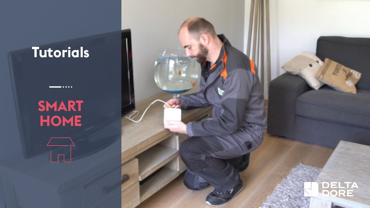 Professionelle Installation der Tydom 1.0-Box