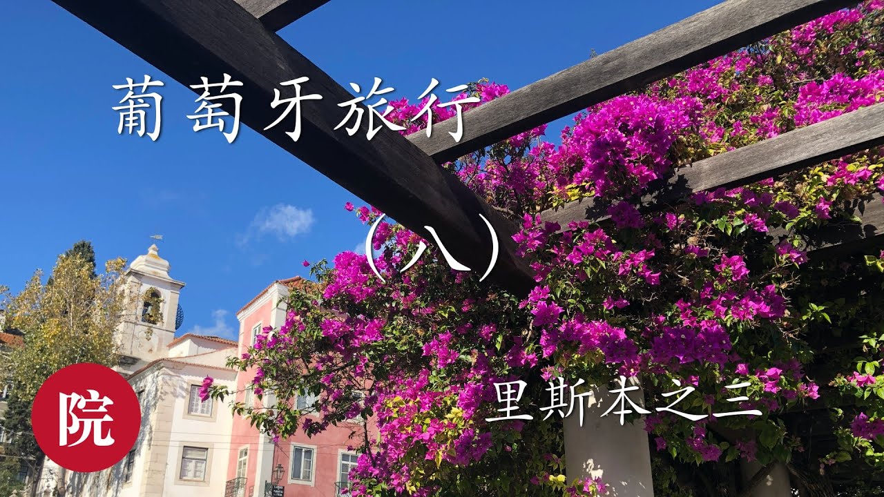 【彬彬有院】行•101葡萄牙第八集------打卡传统市场，乘坐了28路有轨电车，到了圣卢西亚观景台等等