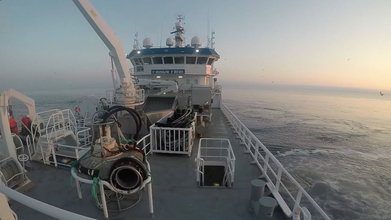 Finnur Fríði on Blue Whiting