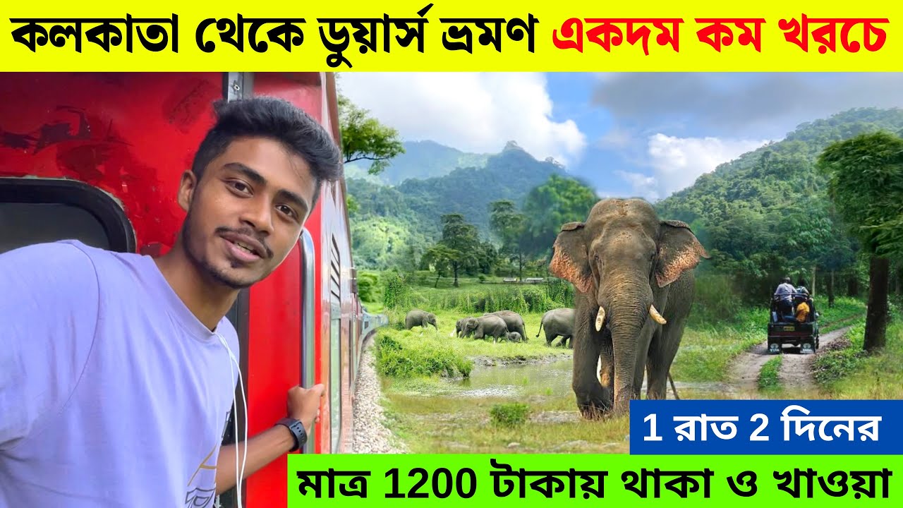 অফবিট ডুয়ার্স ভ্রমণ | Dooars Tour Guide | Kolkata To Dooars | Dooars Resort | Offbeat Dooars Tour
