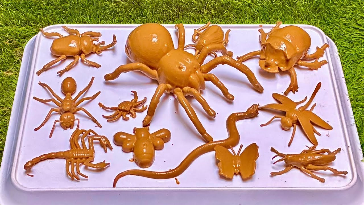 Insect Explorers: Fun Adventures in the Secret World of Tiny Creatures