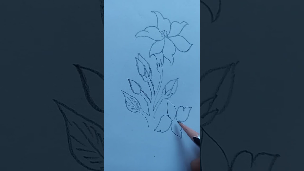 Simple and beautiful Jasmine flower drawing 