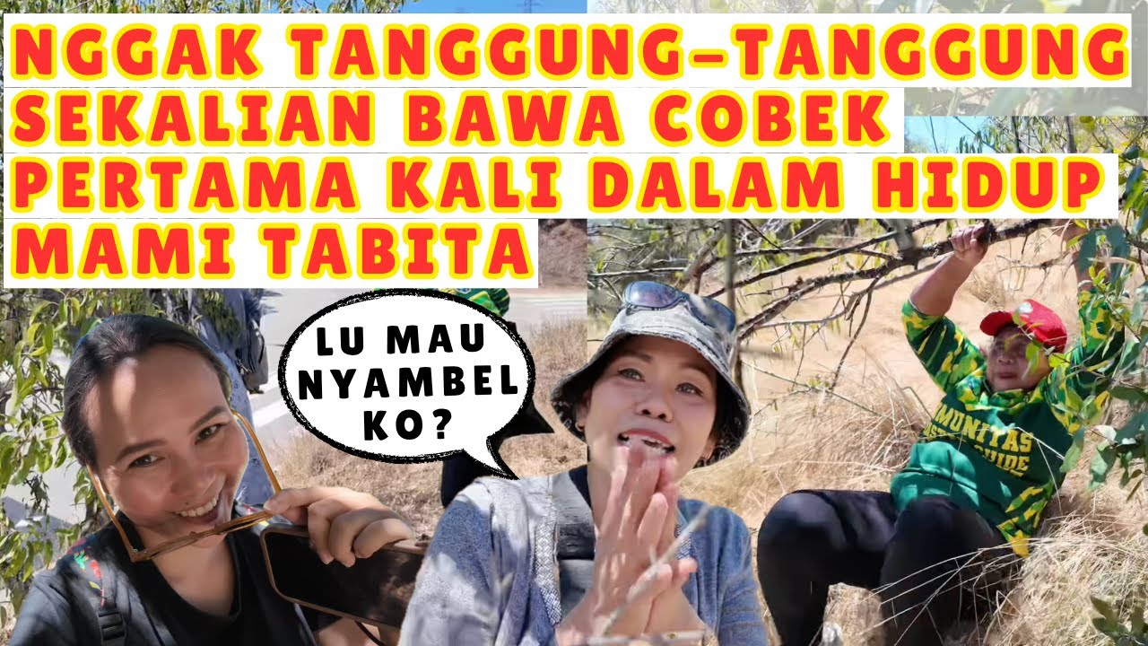 PANEN BUAH LIAR PERTAMA KALI DI BARCELONA SPANYOL MAMI TABITA KALAP #indonesia #panen #spanyol