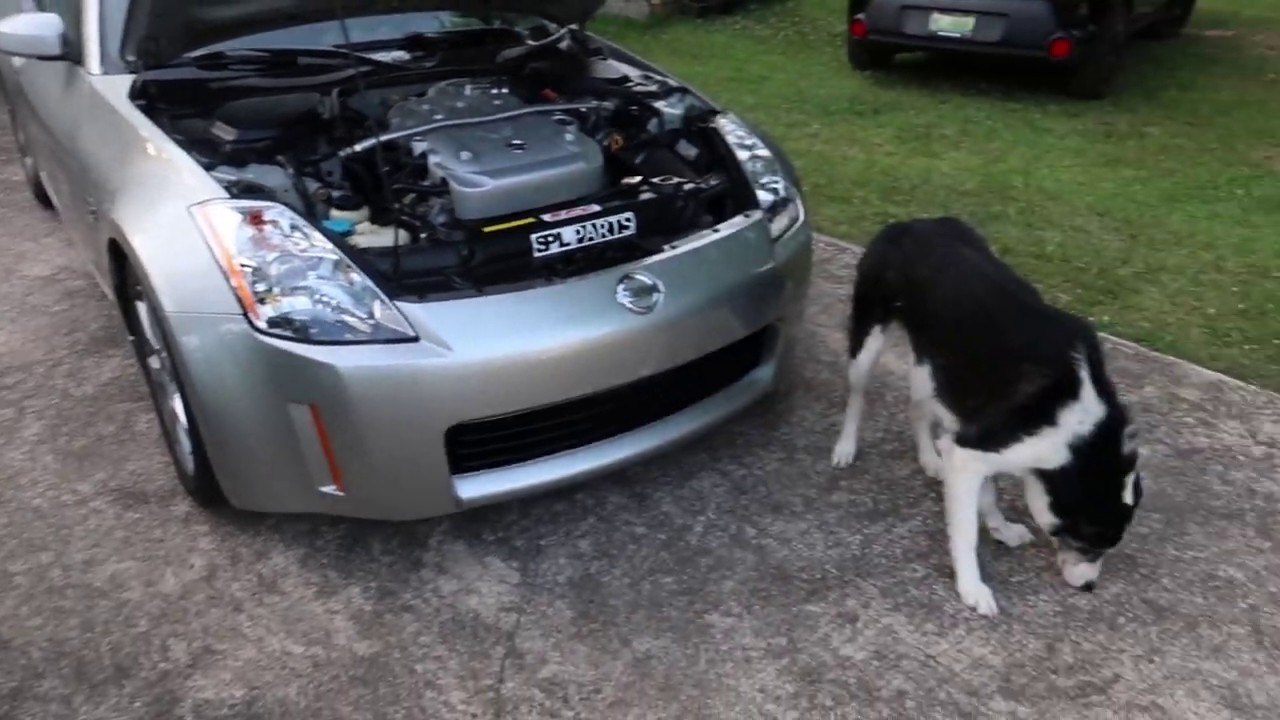 350z Power steering fluid change #Nissan350z #Zociety