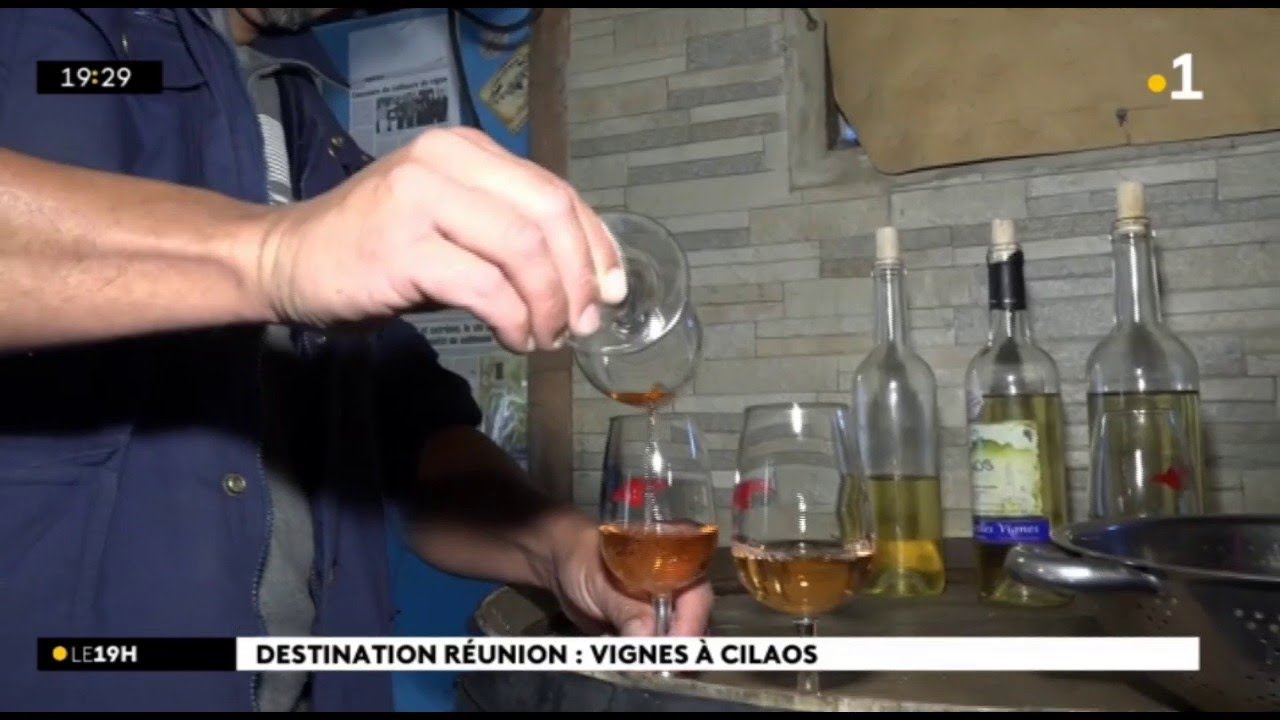 Destination R&eacute;union : petit tour dans les vignes de Cilaos