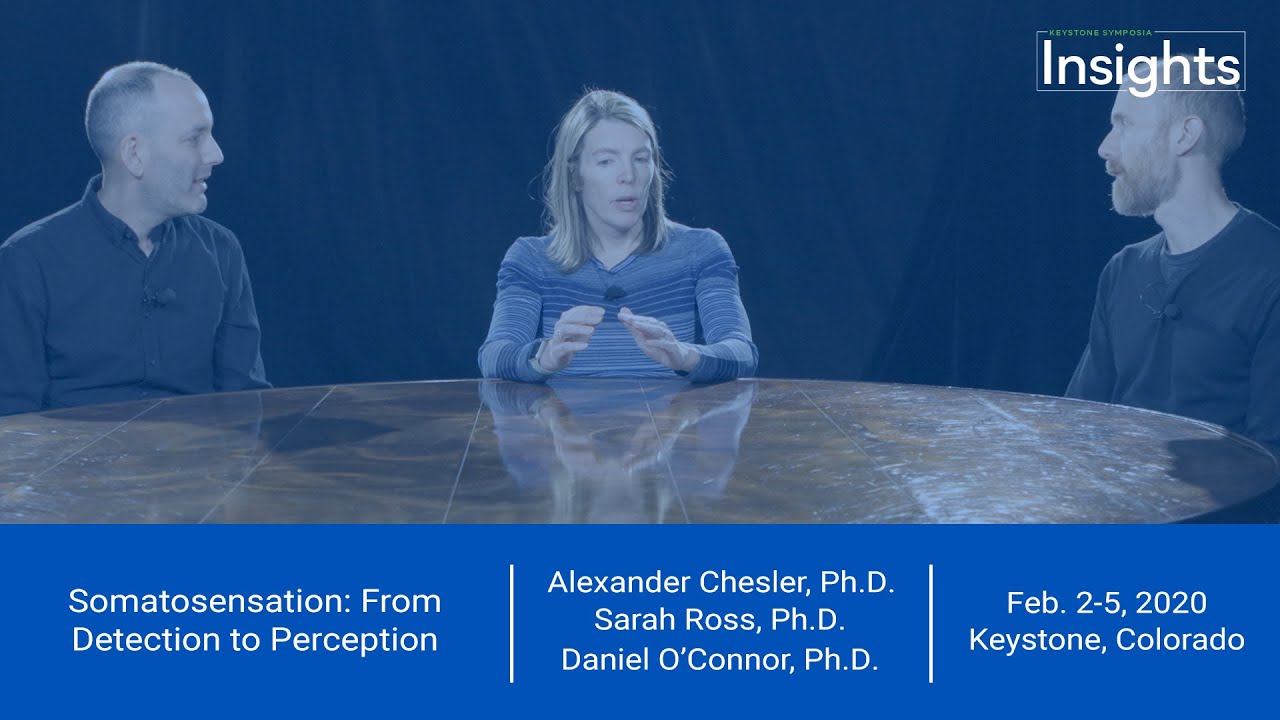 KS Insight: Somatosensation: From Detection to Perception (J8)
