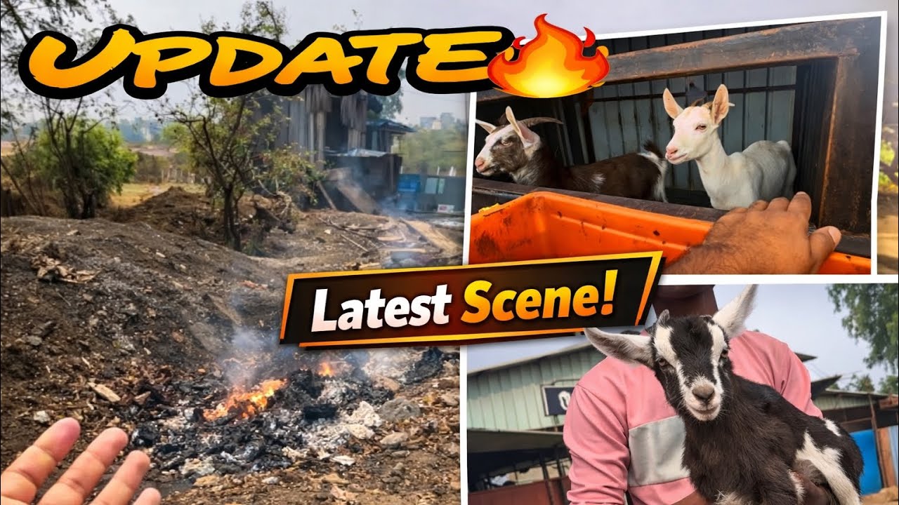 1st Roza Sab Ghar Walo Ke Saat | Farm Update Alhamdulillha | Mohsin Khan