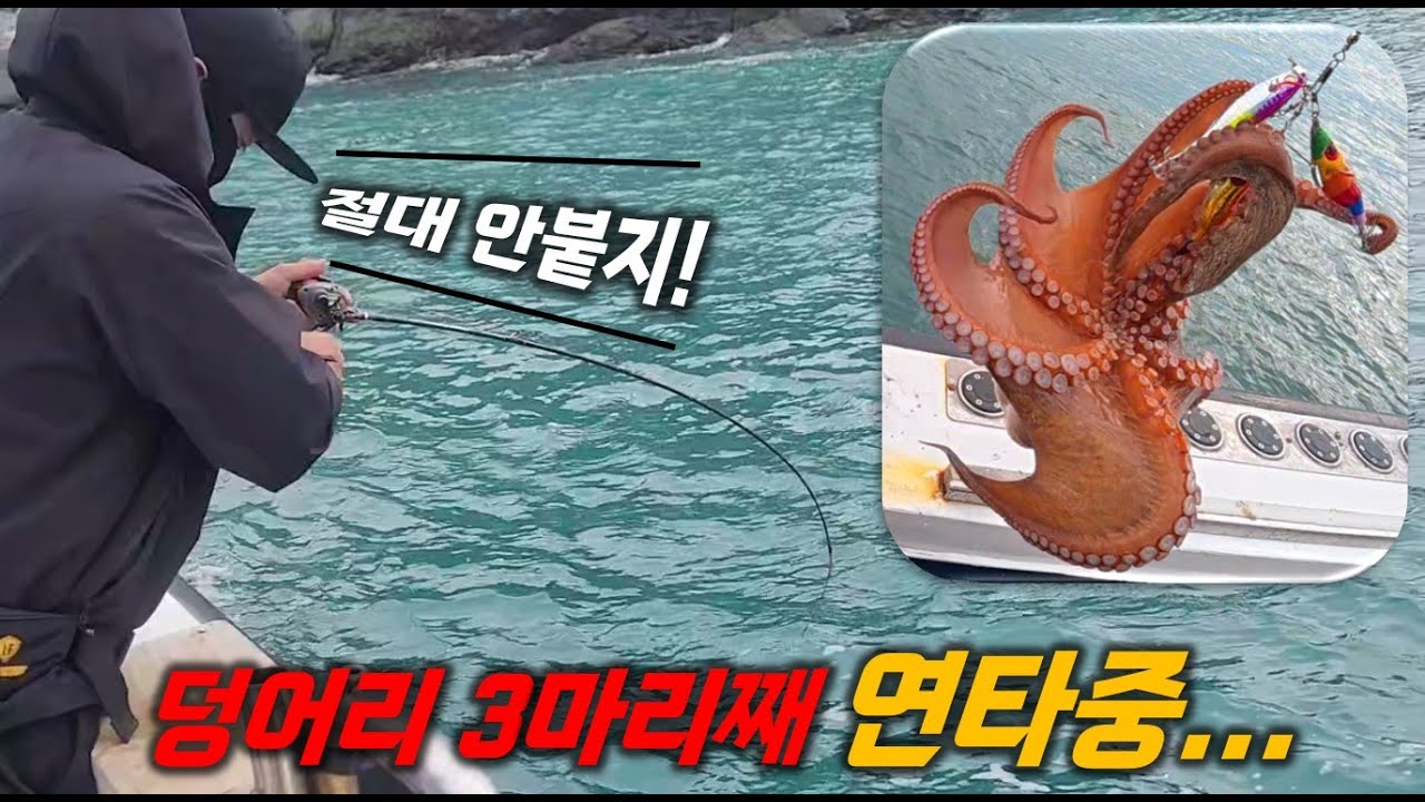 문어낚시 왜 너만 입질 받는거야?! 가운데서 마릿수하는 실전 노하우!