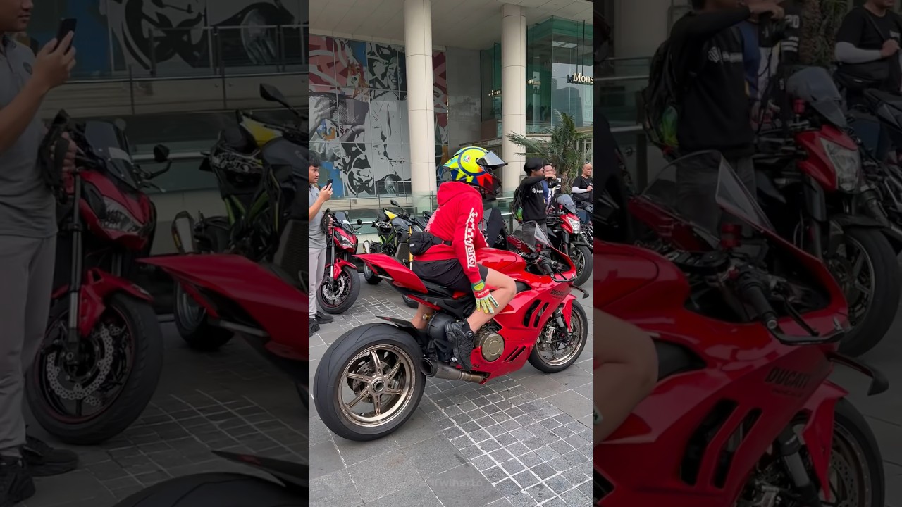 HARALD ARKAN DUCATI V4 🐉🐉🔥🔥