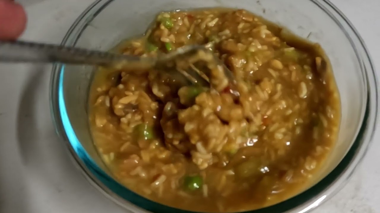 EXPIRED MOUNTAIN HOUSE MEAL | (CHICKEN TERIYAKI WITH RICE)