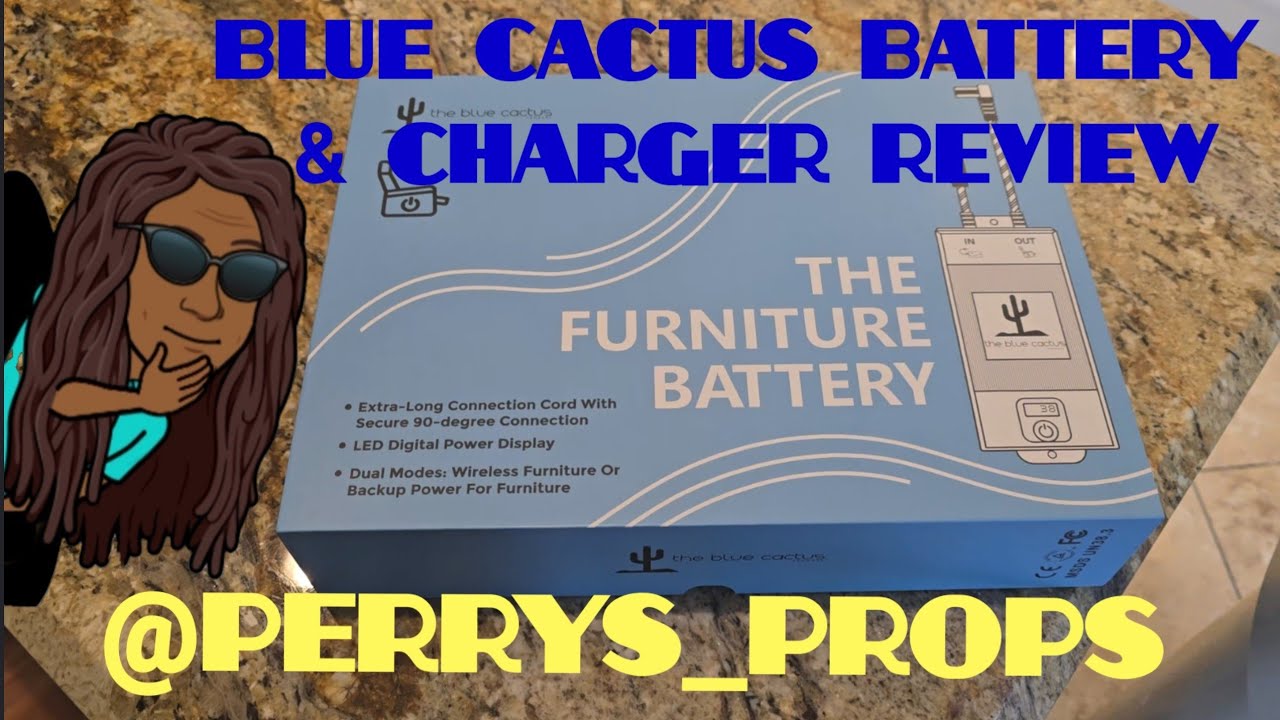 Blue Cactus Battery and Charger Review