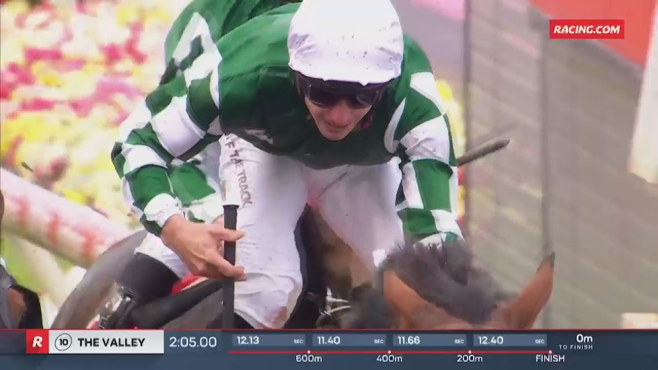 Turf Mundial 291025