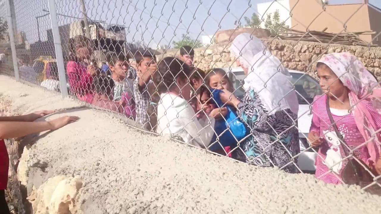 dalin çocukları