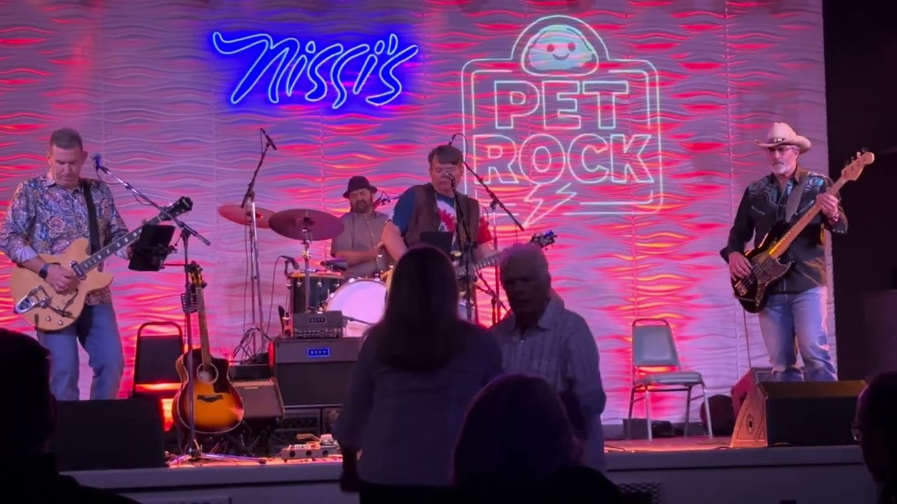 Cover of Rolling Stones Honky Tonk Women-  Pet Rock