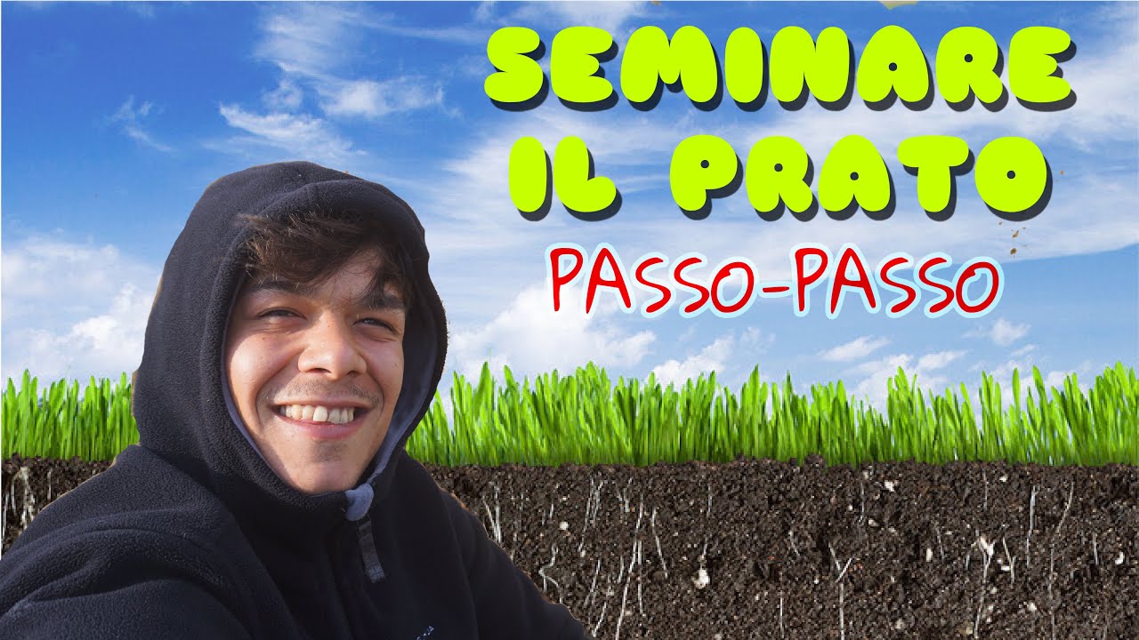SEMINARE IL PRATO - TUTTI I PASSAGGI