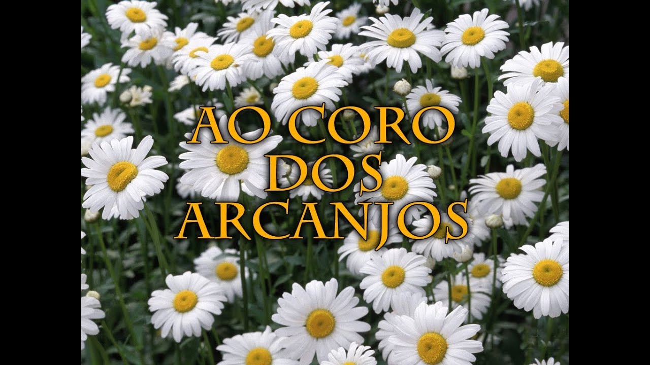 019 Ao Coro dos Anjos - Hinário Adventista HD