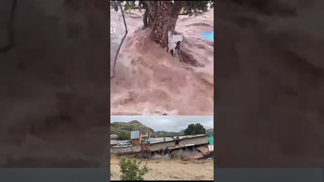 River Flood News Update |Pakistan River Flood News|