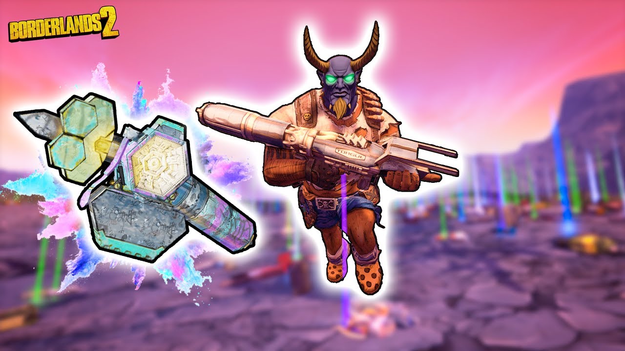 The RAREST item in Borderlands 2