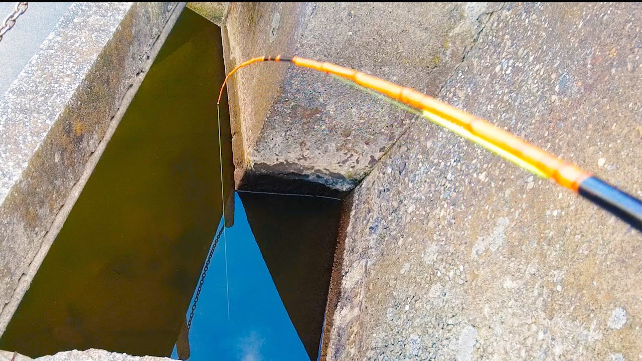 【ハゼ釣り調査】浦安の住宅街でハゼを狙ってみた｜境川｜小物釣り｜ハゼ釣り｜Float Fishing|Small Fishing｜