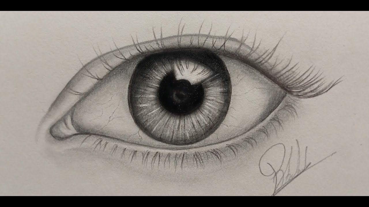 Drawing a Eye | simple step #drawing #viral #art