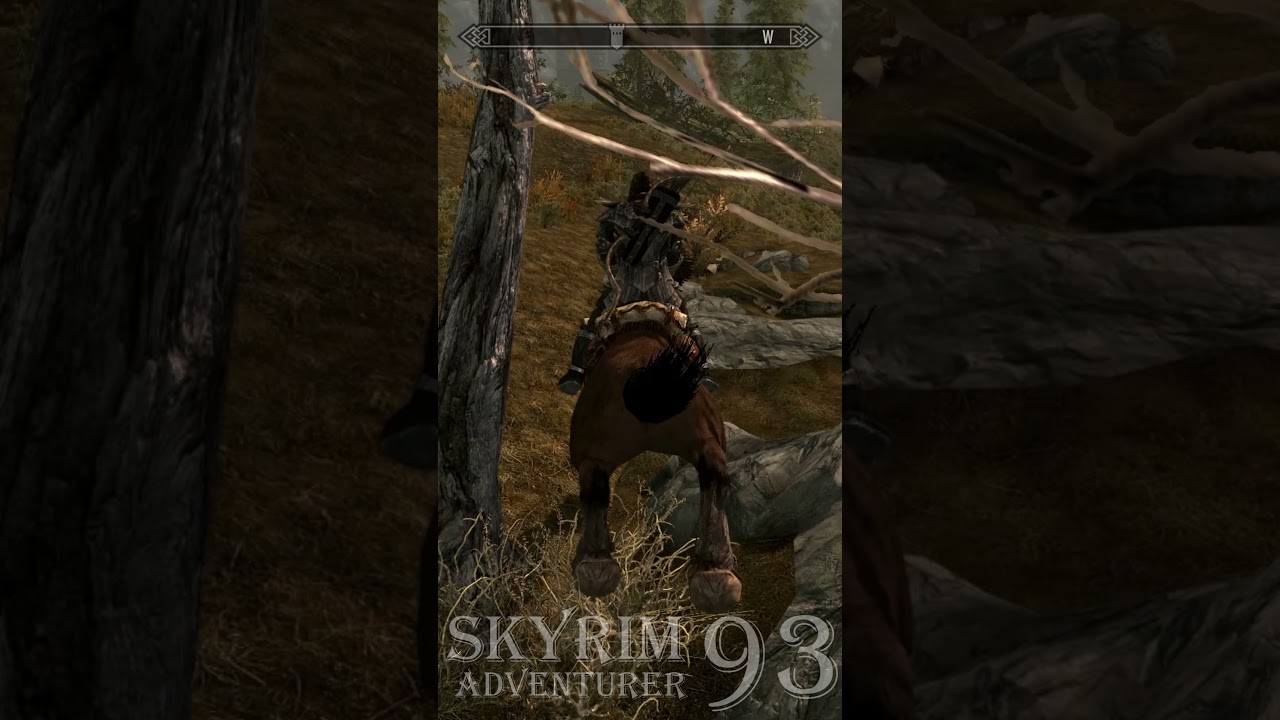 Skyrim: horse started floating!