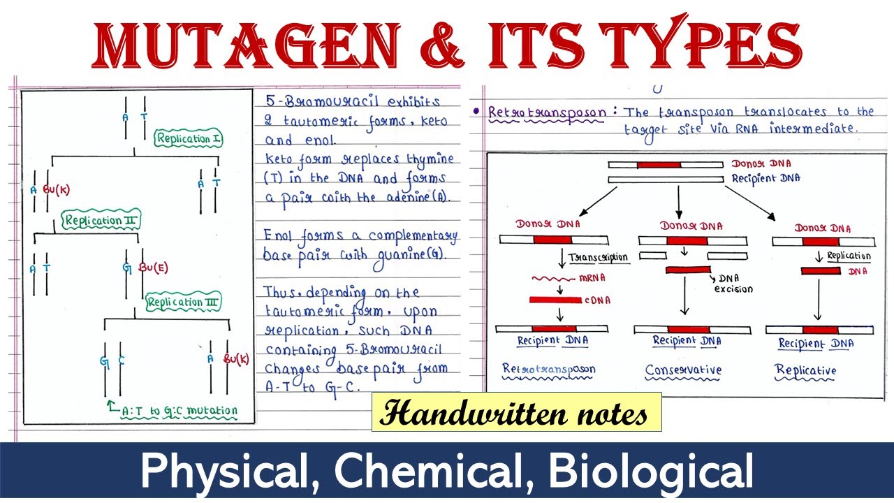 Mutagen and its types
